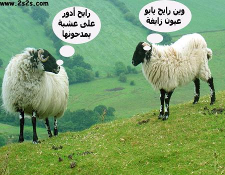 hahahahahahahahahahahahahahahahahahah